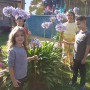 Acampamento de férias